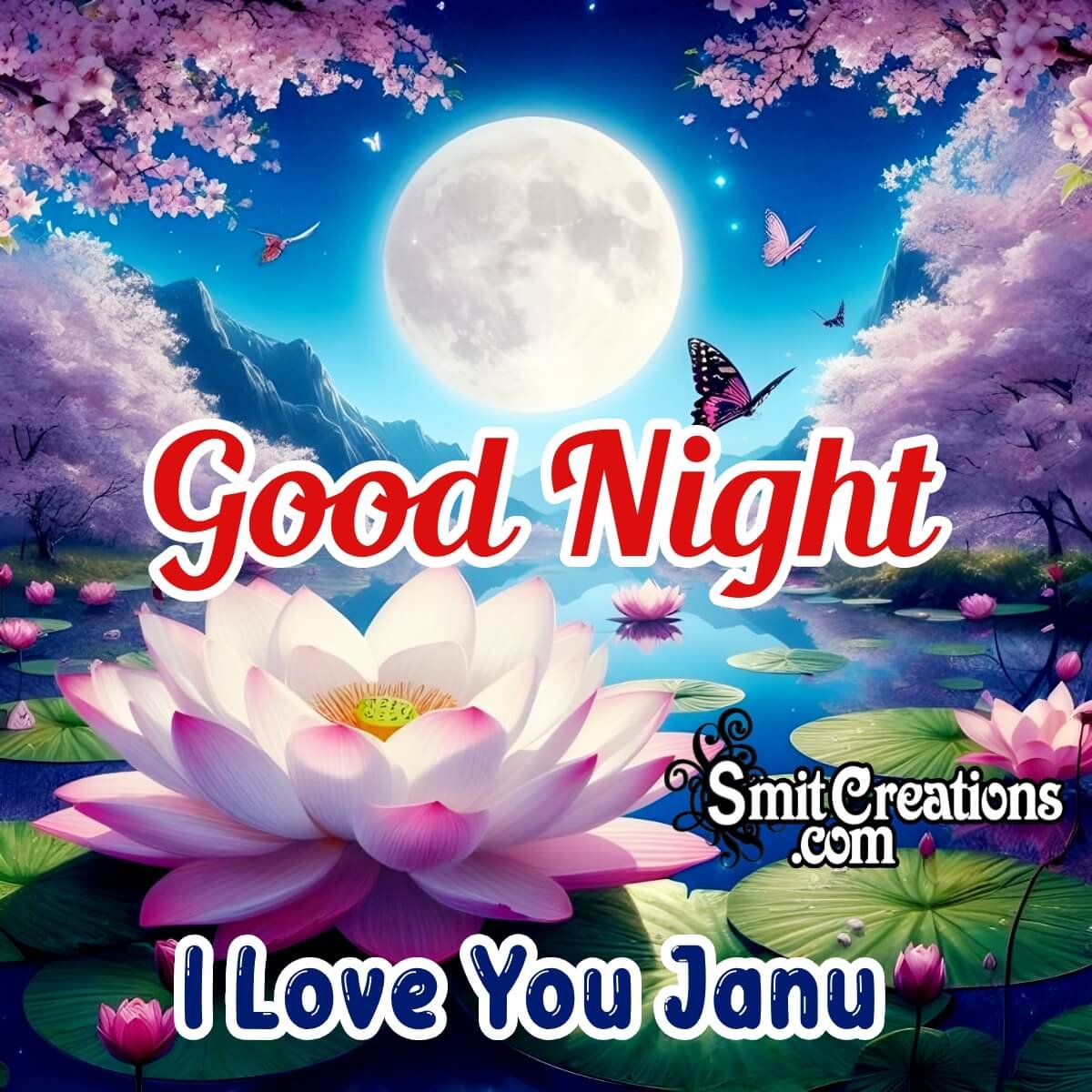 Good Night I Love You Janu