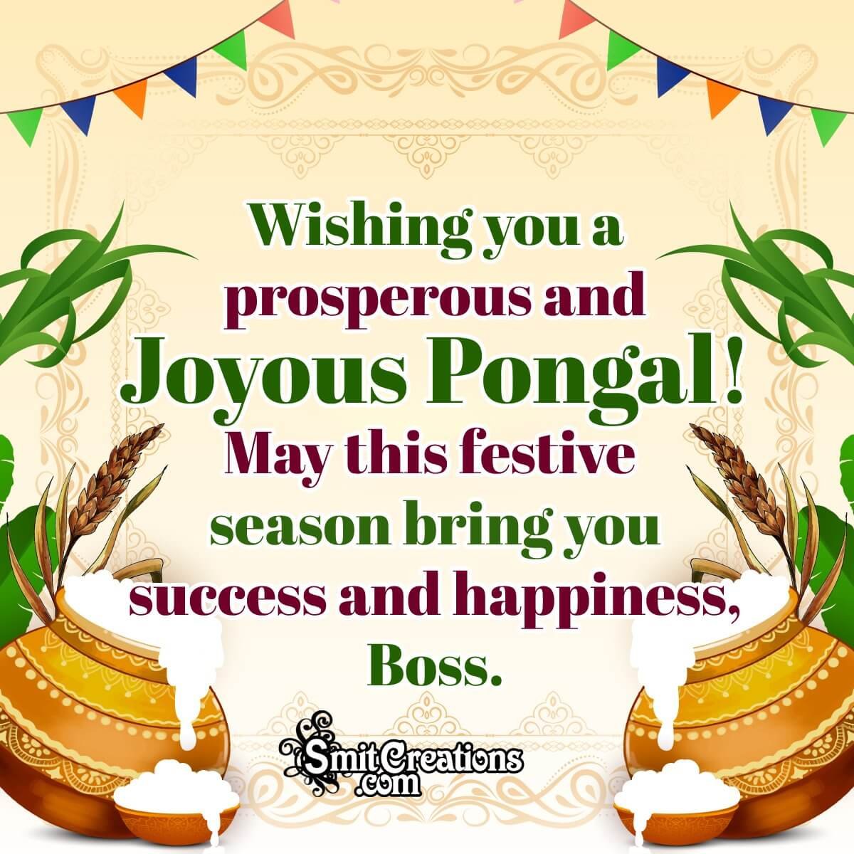 Pongal Wishes For Boss