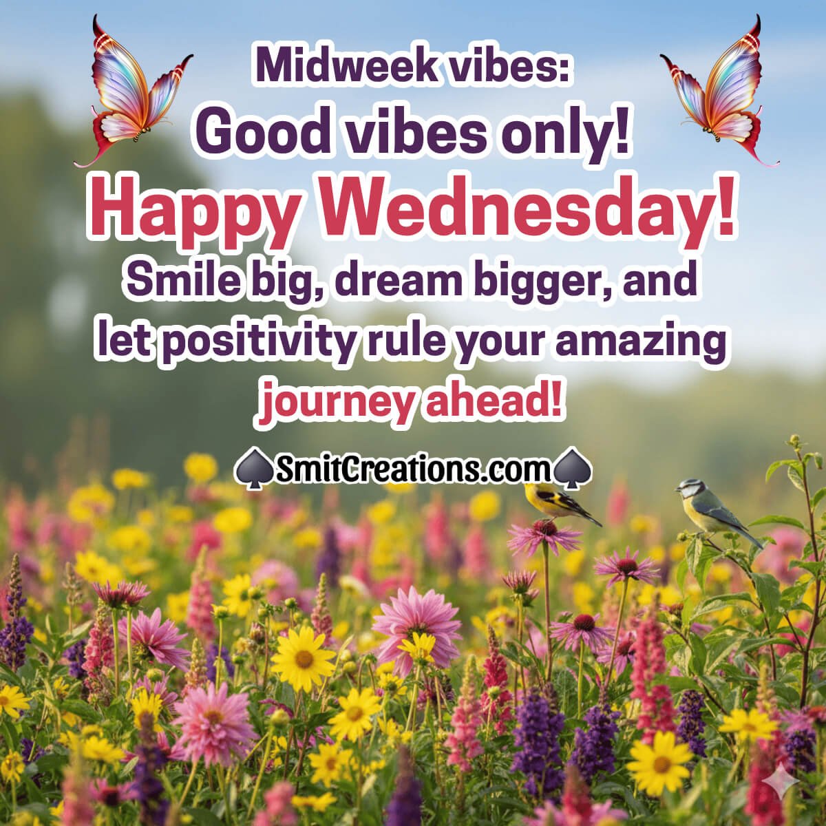 Happy Wednesday Amazing Wishing Image